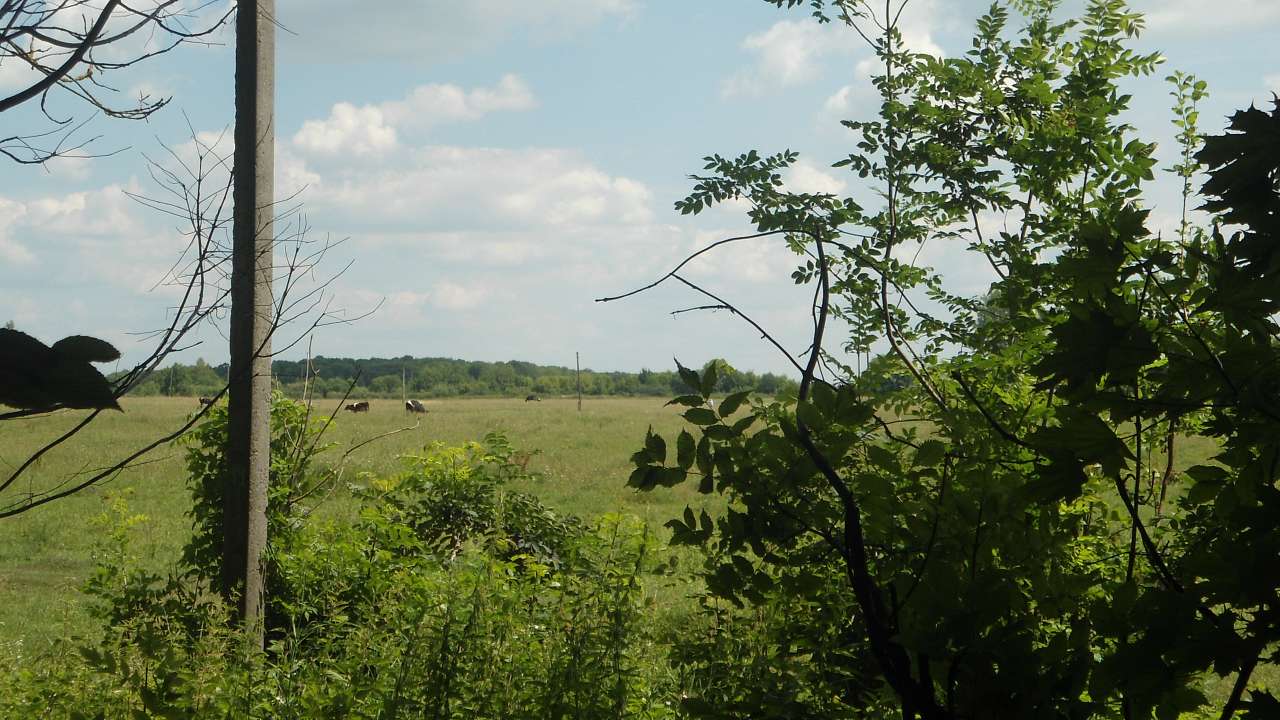Райгородок - Райгородок