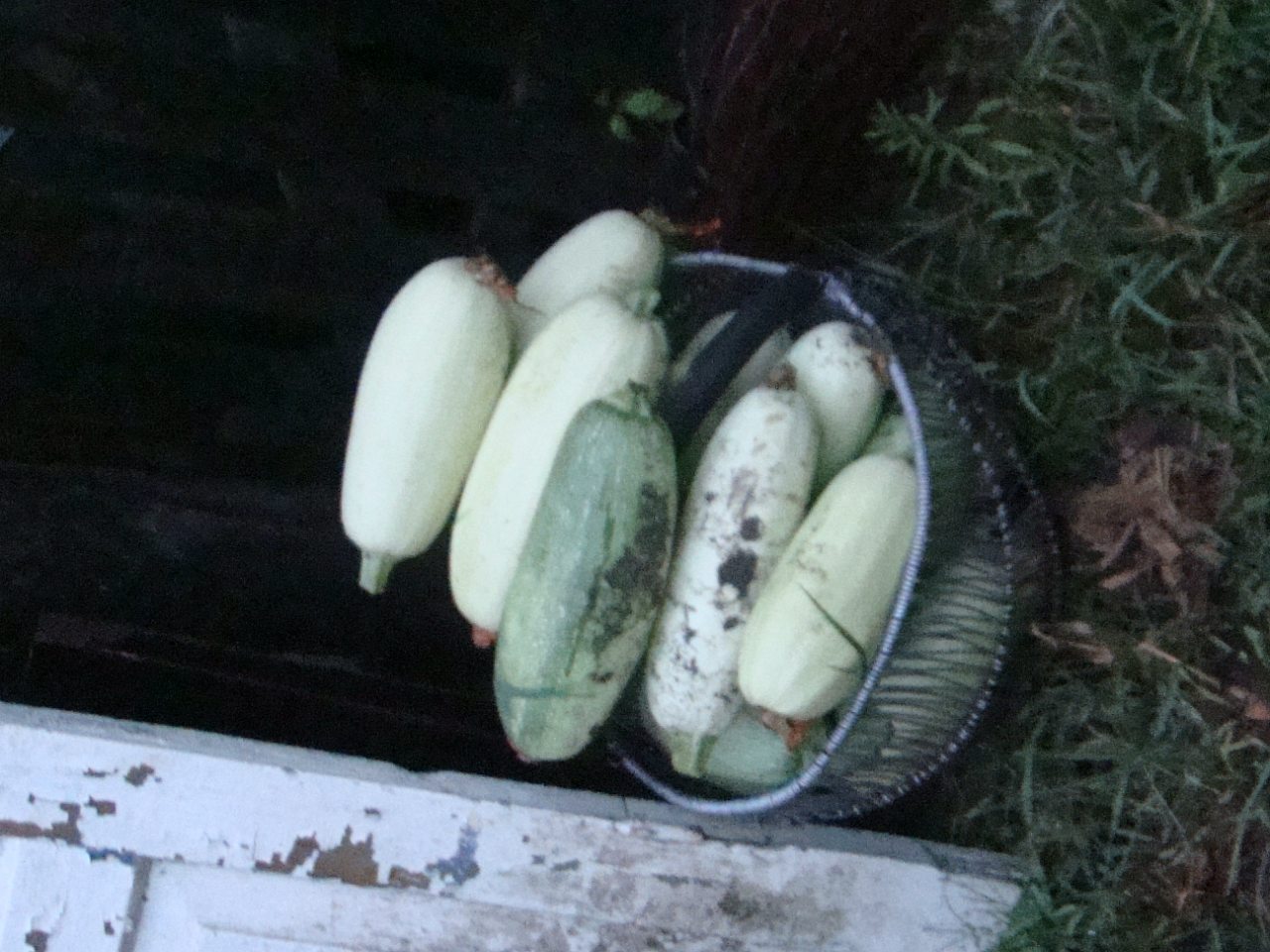 Гута-2012 - Гута-Забілоцька