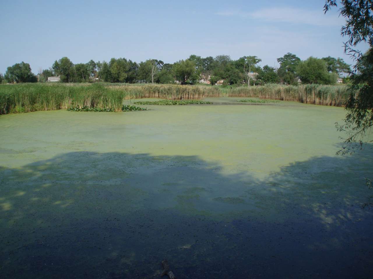 село та його жителі в різні часи - Дем'янці