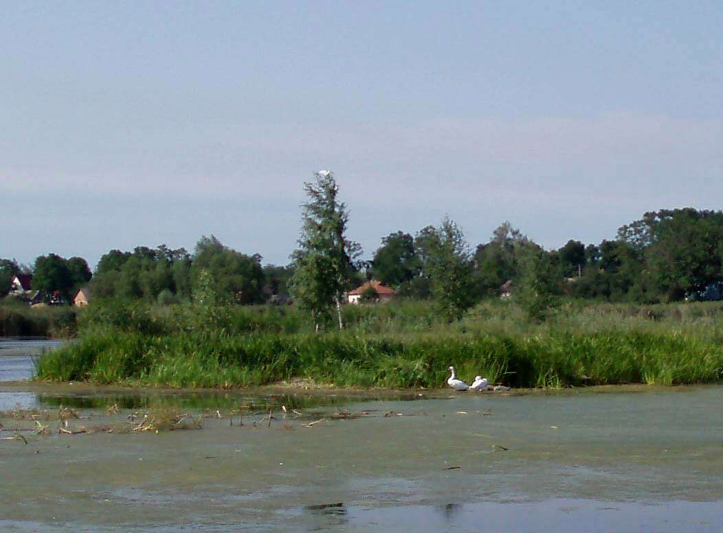 село та його жителі в різні часи - Харьковцы