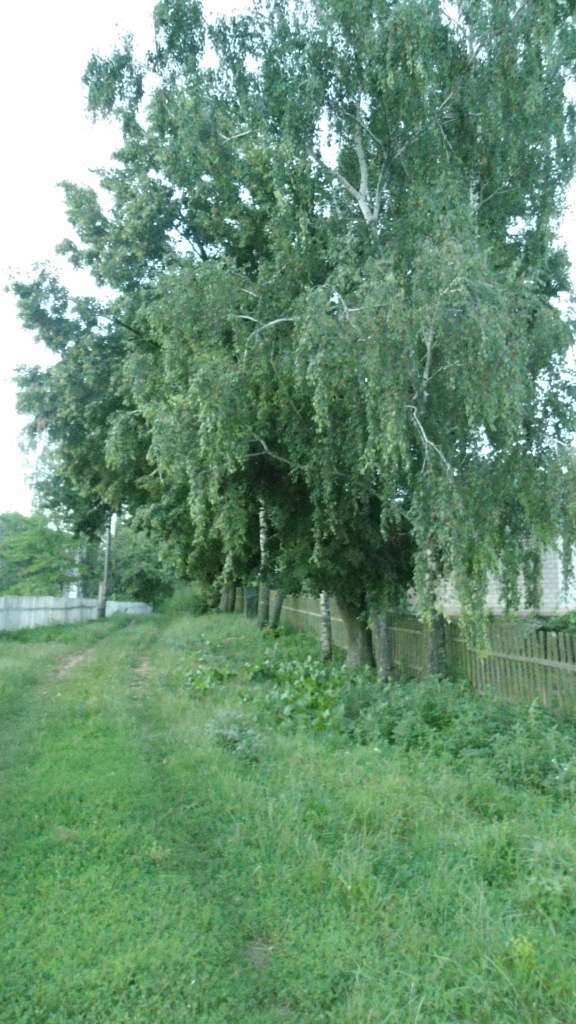Райгородок - Райгородок