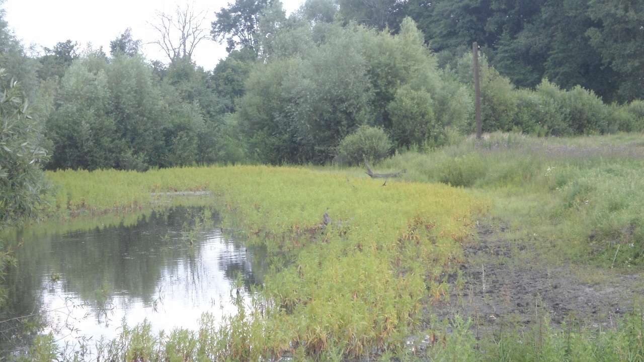Райгородок - Райгородок