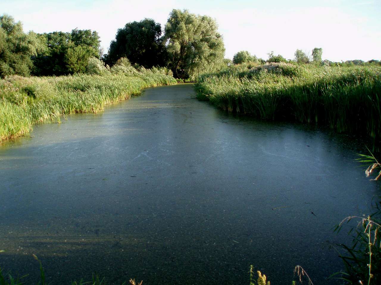село та його жителі в різні часи - Харьковцы