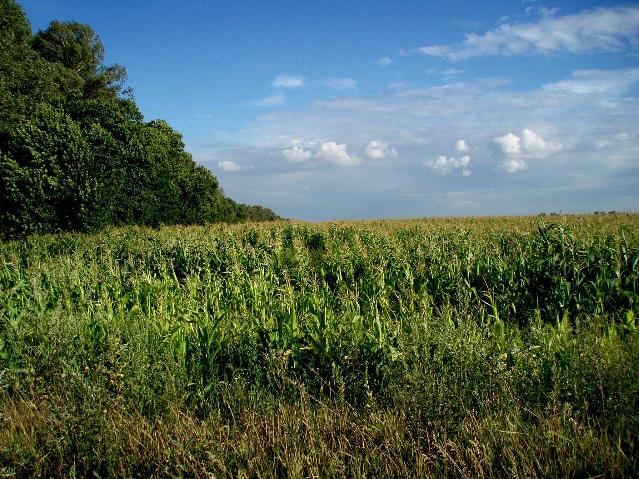 село та його жителі в різні часи - Харьковцы