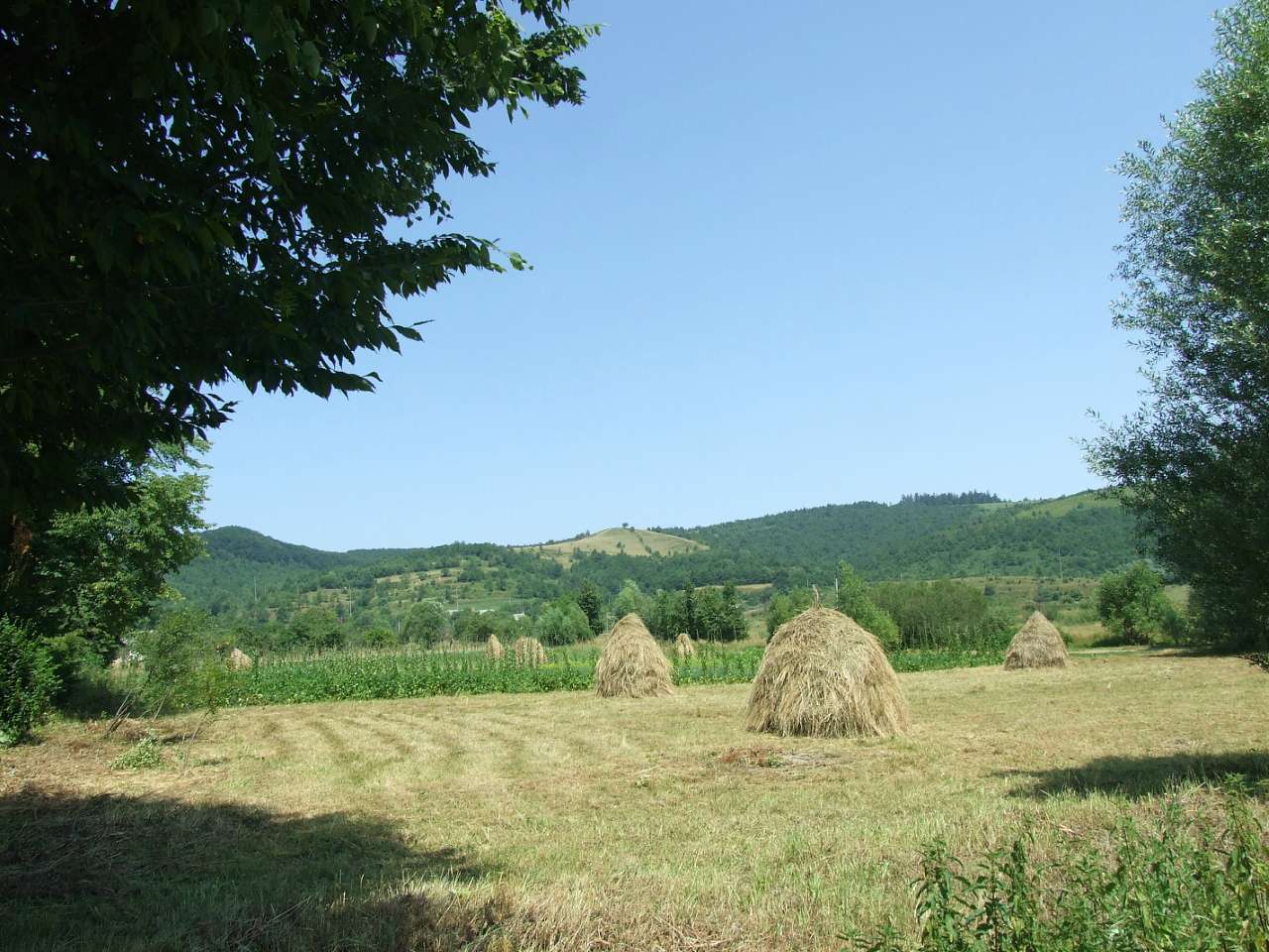 сучасне село - Нижнее Синевидное
