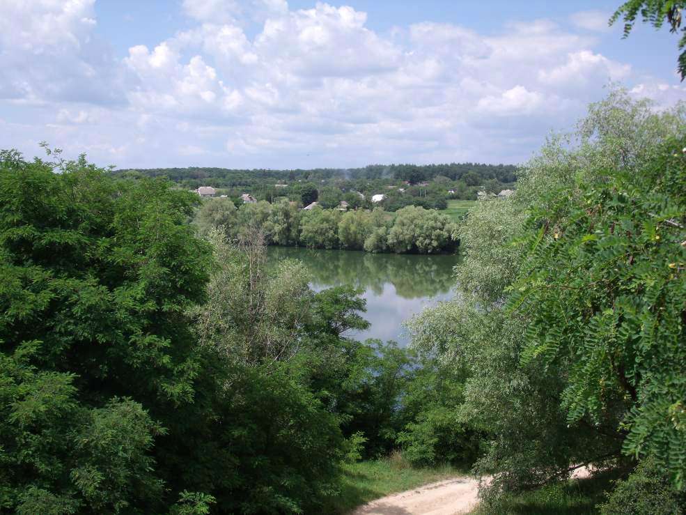 Корнин - Корнин