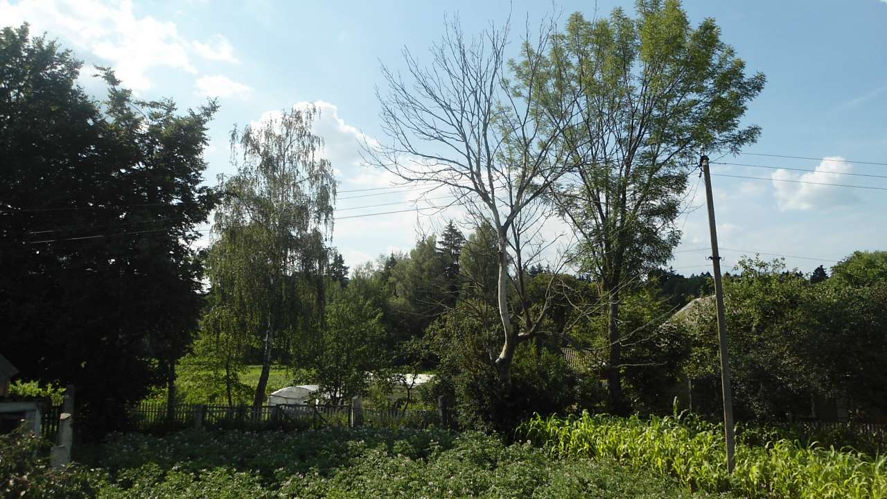 Райгородок - Райгородок