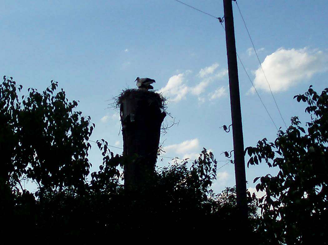 с. Гайшин - Гайшин