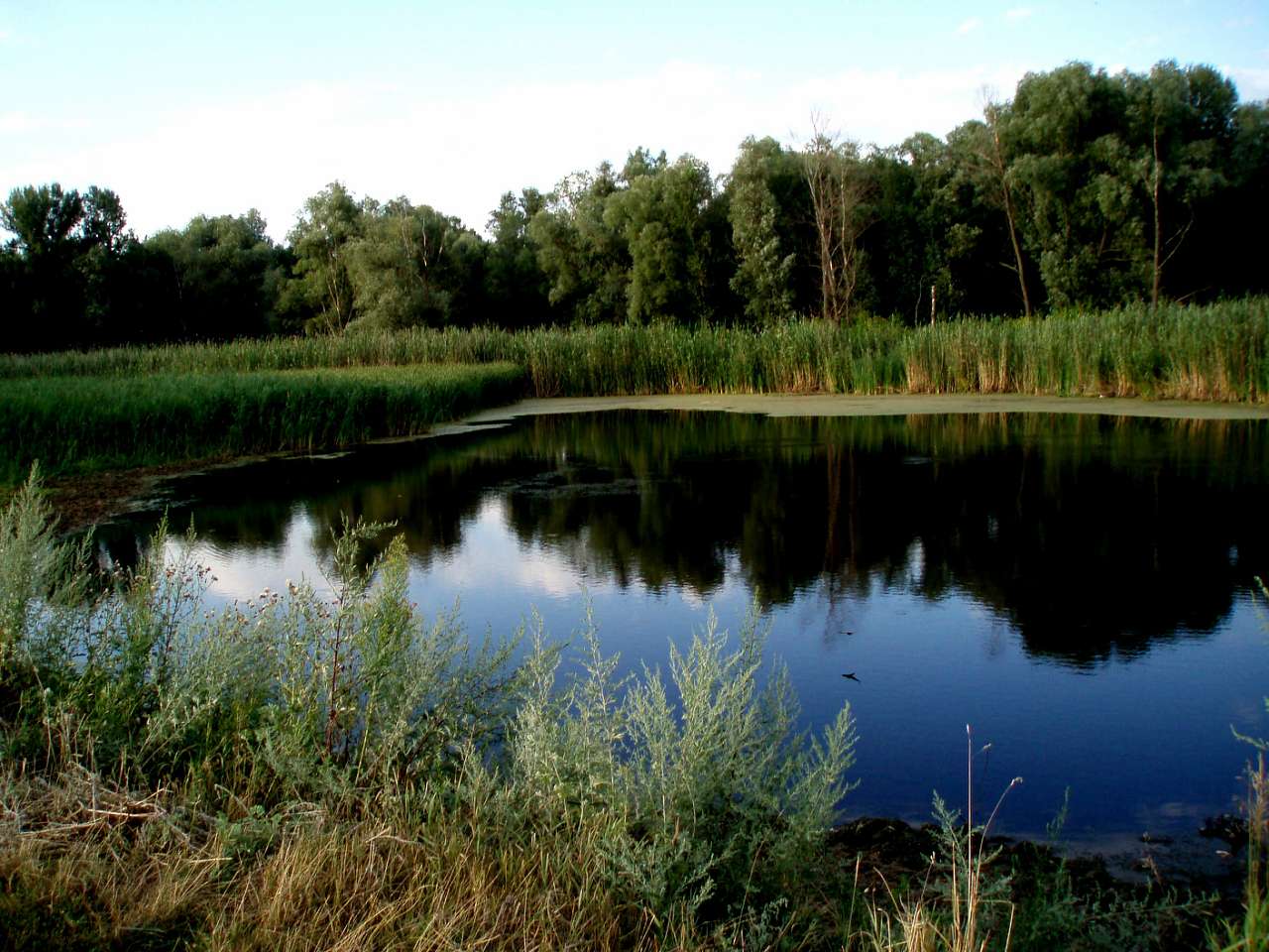 с. Гайшин - Гайшин