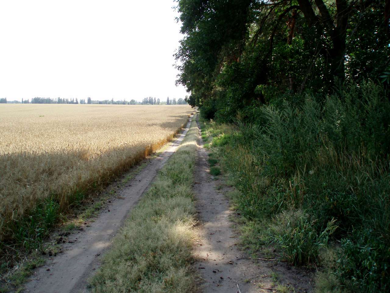довкілля - Харьковцы
