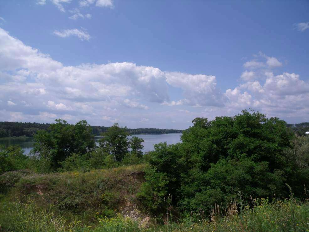 Корнин - Корнин