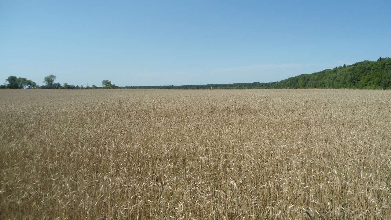 Райгородок - Райгородок