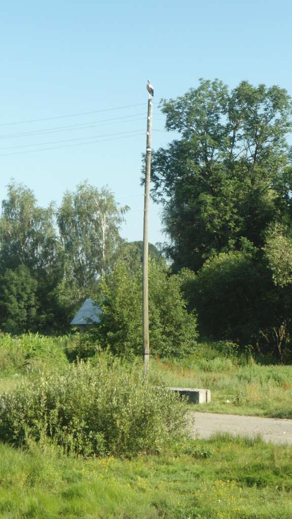 Райгородок - Райгородок