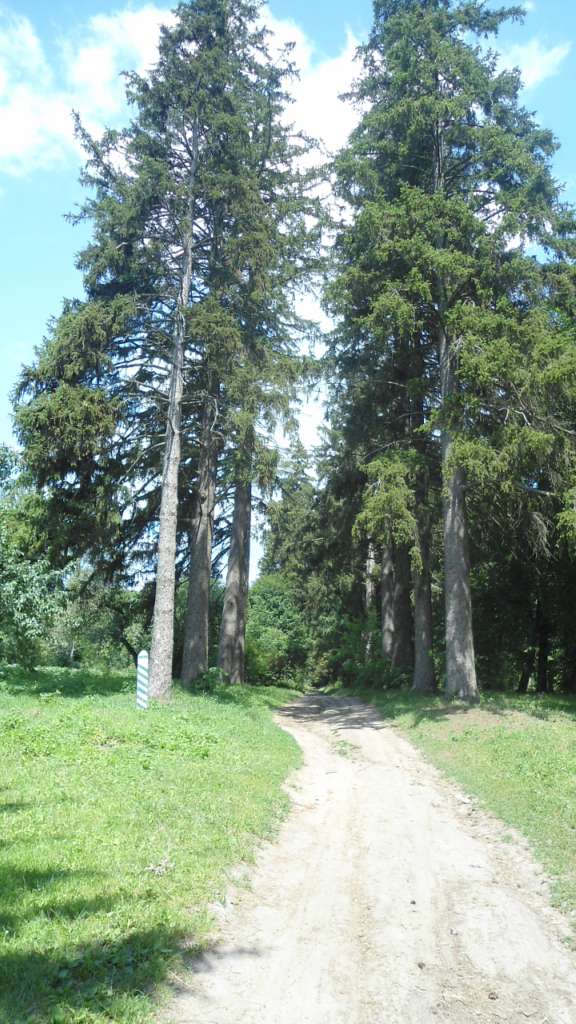 паркова алея поблизу маєтку - Raygorodok
