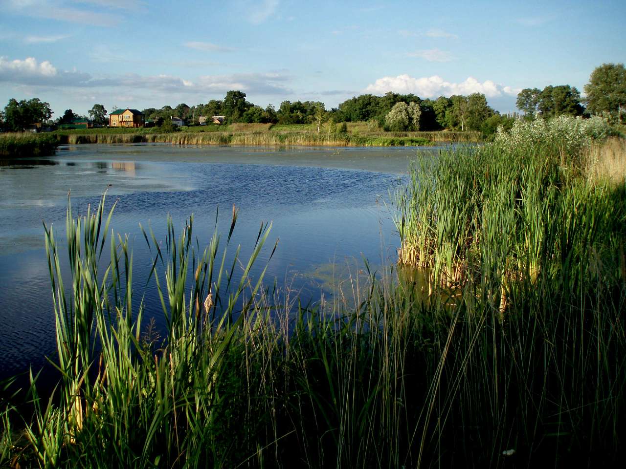 село та його жителі в різні часи - Харьковцы