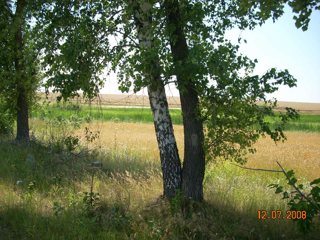 Природа нашого краю - Снітків