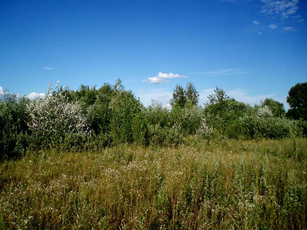 село та його жителі в різні часи - Харьковцы