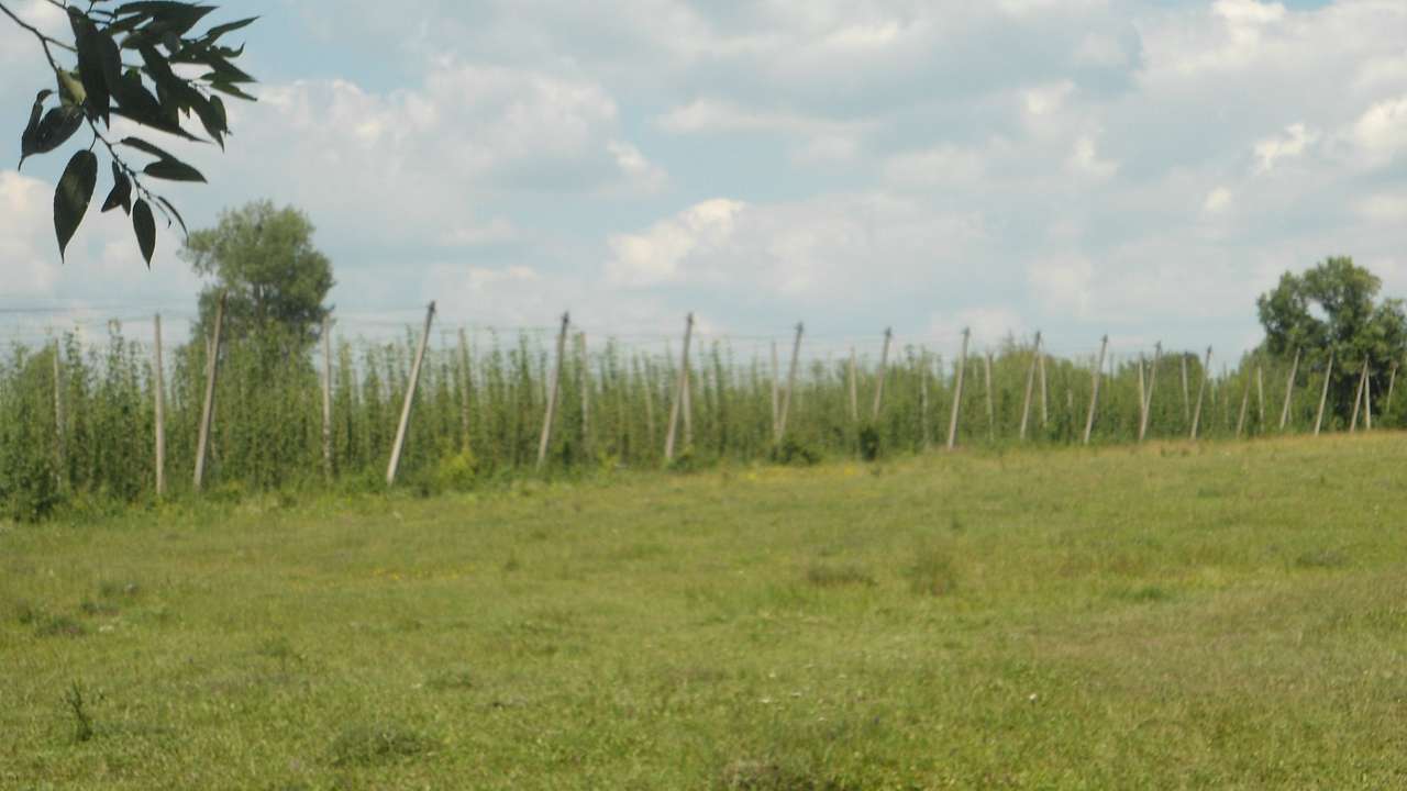 Райгородок - Райгородок