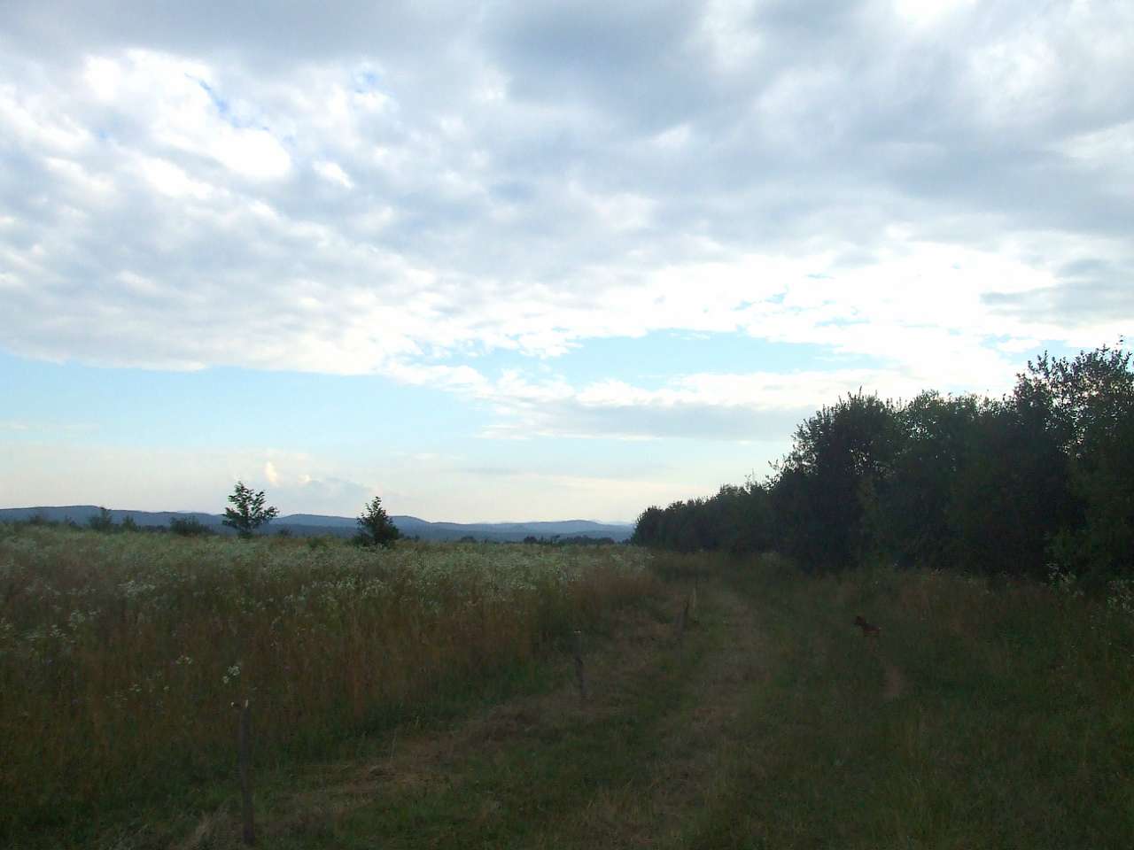 краєвид - Долішнє