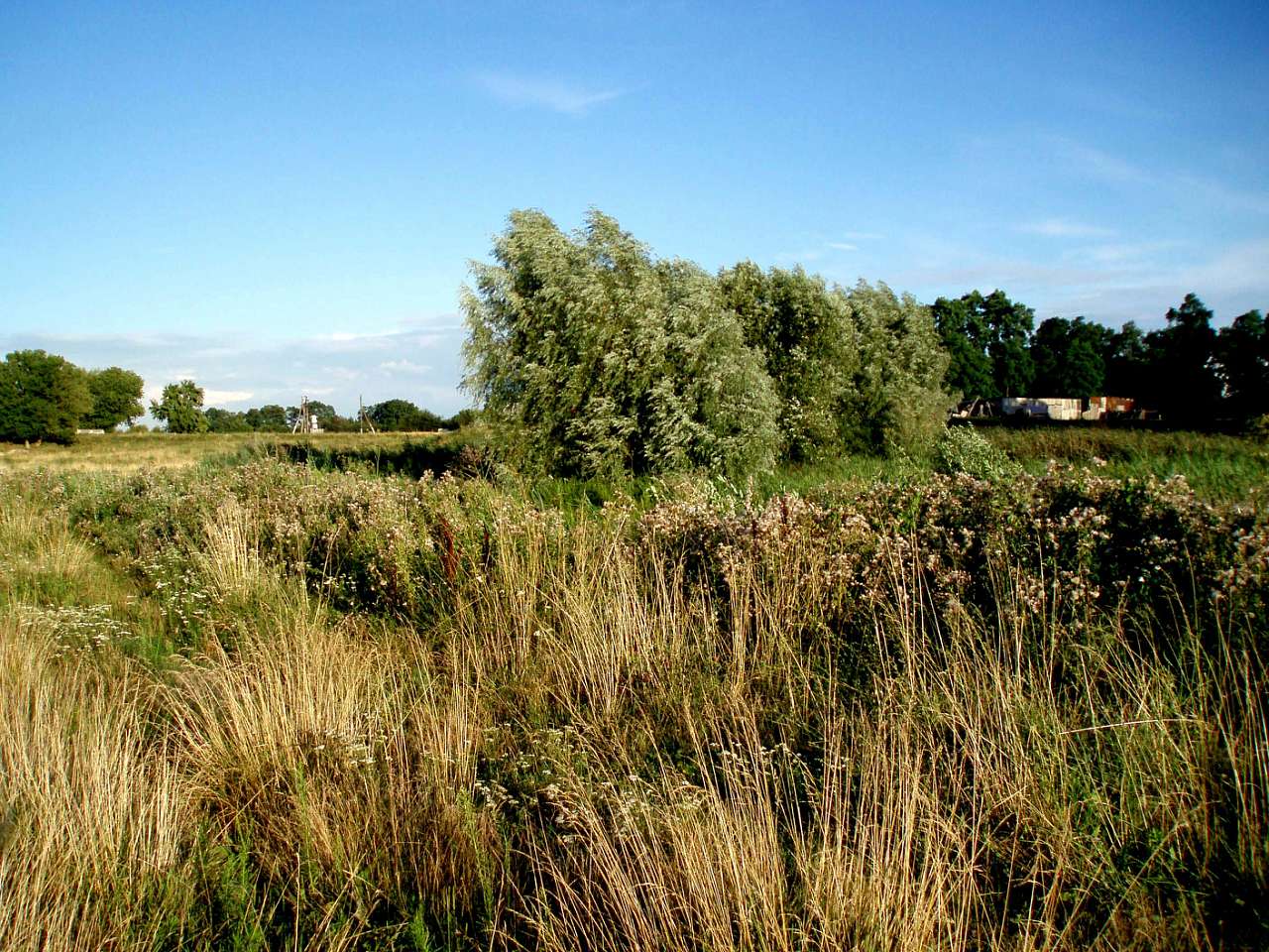 село та його жителі в різні часи - Харьковцы