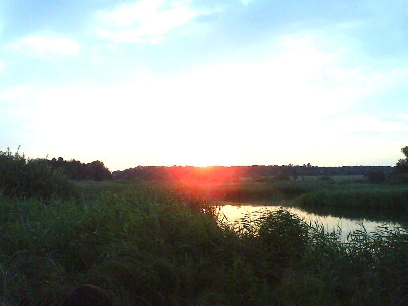 РОСТАВИЦЯ - Строків