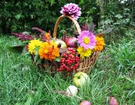 Моє лелече Полісся