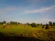 Водотиї - Останні фото