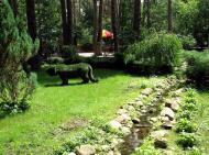 місто Ірпінь