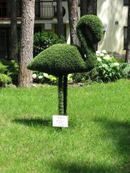 місто Ірпінь