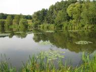 Паламаренкове 2012