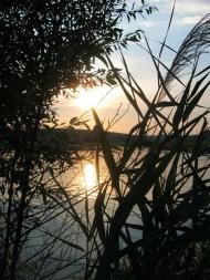 Захід сонця в Паламаренково.