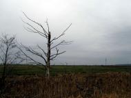 Водотиї - Останні фото