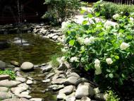 місто Ірпінь