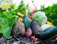 Моє лелече Полісся