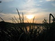 Захід сонця в Паламаренково.