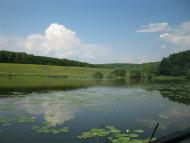 Паламаренкове 2012