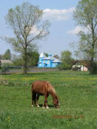 Нові про Машів