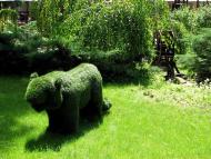 місто Ірпінь