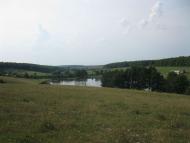 Паламаренкове 2012