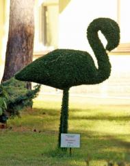 місто Ірпінь