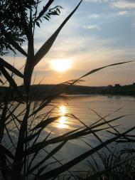 Захід сонця в Паламаренково.