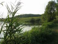 Паламаренкове 2012