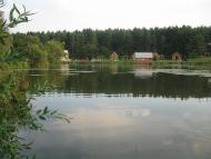 Паламаренкове 2012