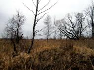 Водотиї - Останні фото