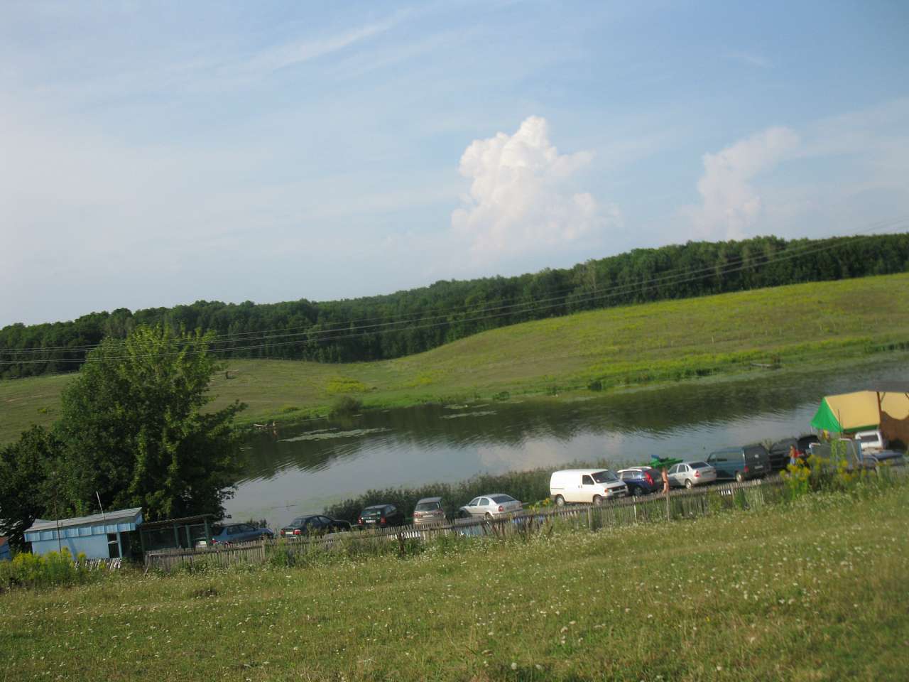 Паламаренкове 2012 - Трибухи