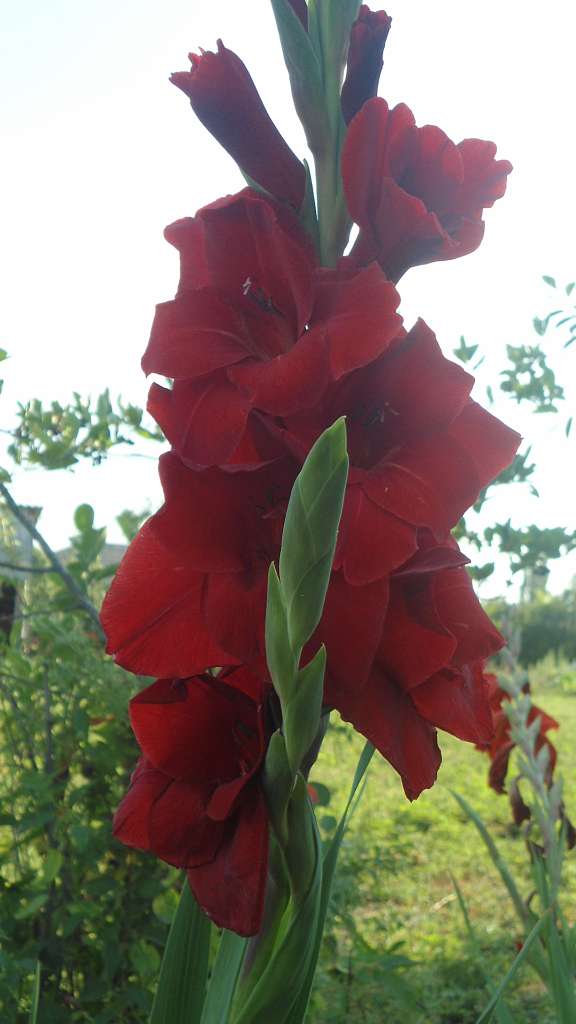 Природа - Райгородок