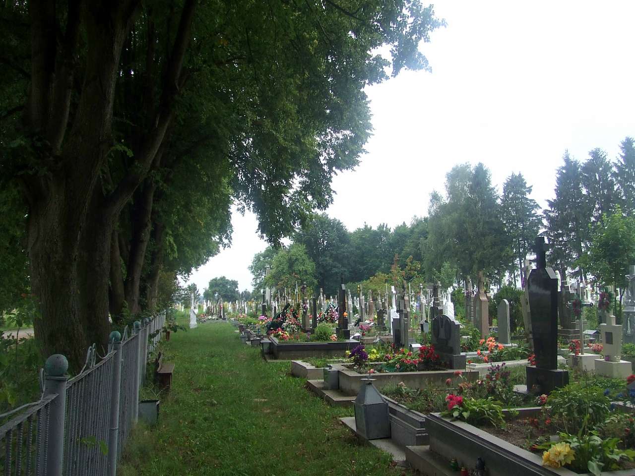 цвинтар - Derzhiv
