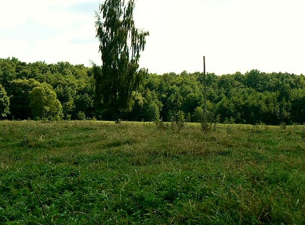 'Весна'-природа села Борушківці - Борушківці