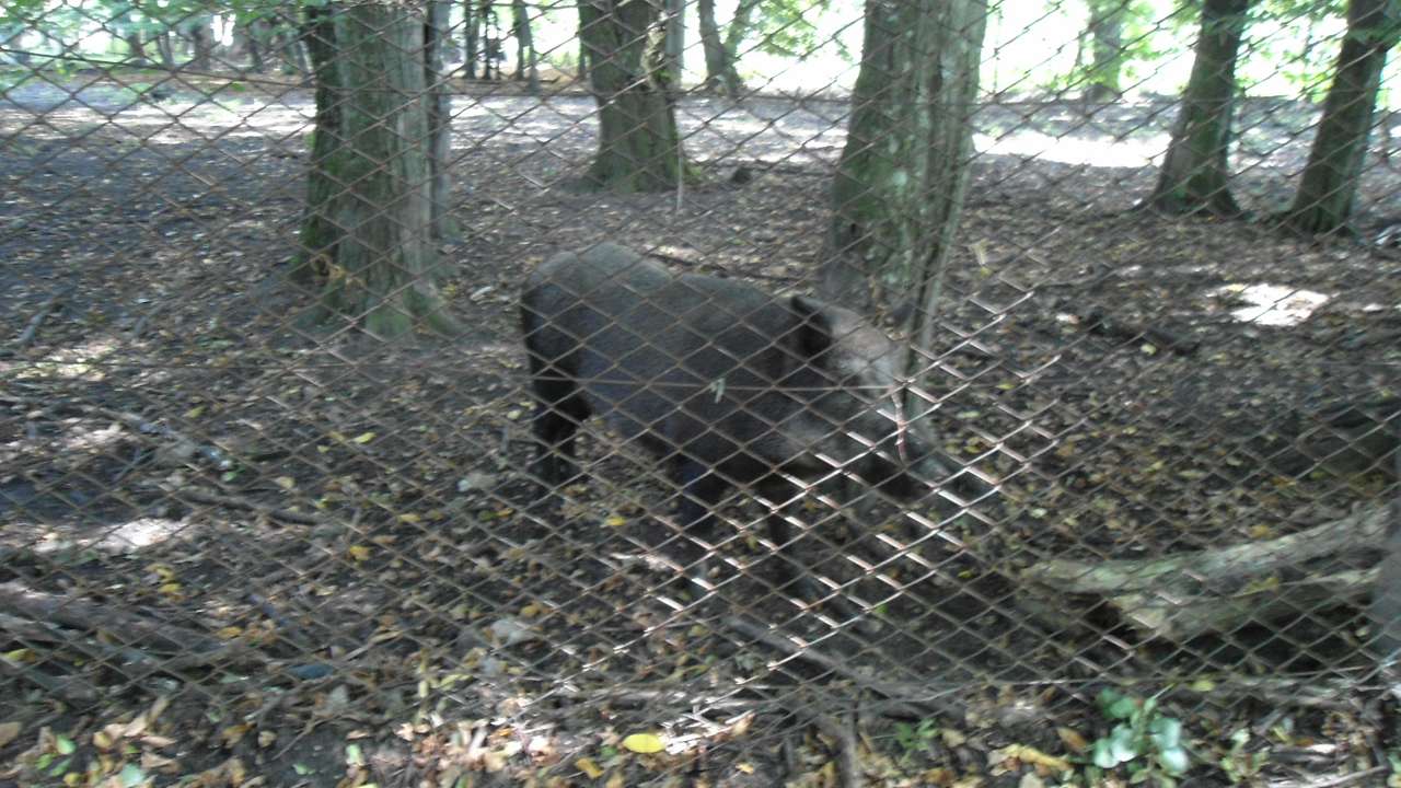 Природа - Райгородок