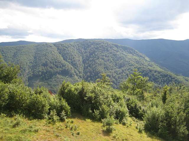 Мальовничі гори Карпати - Міжгір'я